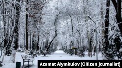 Архив. 