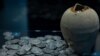 With thousands of archaeological sites dotted around the country, treasure hunters in Hungary are digging up coins, statues, and gold objects, taking everything that can be moved, experts warn. (file photo)