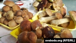 Грыбы прадаюцца ў Гомлі 