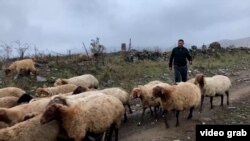 Местные жители в основном занимаются животноводством и земледелием