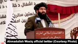 د طالبانو د حکومت د عمومي ویاند مرستیال احمدالله وثیق