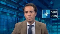 ნატოს სპეციალური წარმომადგენლის ექსკლუზიური ინტერვიუ