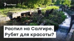 Распил на Салгире. Рубят для красоты? | Радио Крым.Реалии