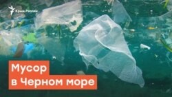 Мусор в Черном море | Радио Крым.Реалии