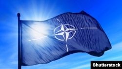 Большинство грузинских наблюдателей пока не считают, что Грузия сворачивает с североатлантического курса