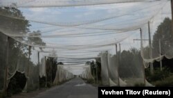 Противодроновые сетки над дорогой вблизи Константиновки, Донецкая область, август 2025 года