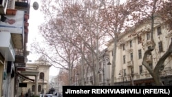 გალაკტიონის ფიჭვიც ჭადრებმა შეცვალეს, მარჯანიშვილის ქ. N4