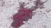 dagestan / Derbent The imam of derbent mosque killed