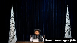 د طالبانو د حکومت وياند ذبيح الله مجاهد