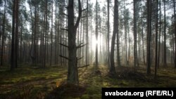 По их данным, планов по проведению компенсационных посадок российских властей не существует и не обсуждалось