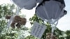 История с "плюшевым десантом" не вполне объясняет суть кадровых перемен на высшем уровне белорусской внешней политики, полагают эксперты