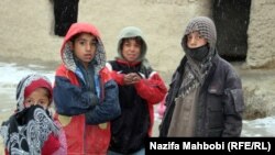 افغانان سږ کال ژمي کې تر بل هر وخت د لوږې له ګواښ سره مخ دي، انځور - ارشيف