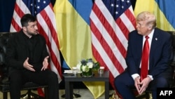 Владимир Зеленский и Дональд Трамп
