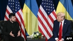 Владимир Зеленский и Дональд Трамп