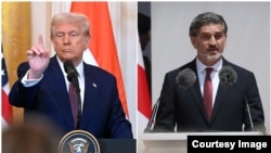 Donald Tramp, Mixeil Kavelaşvili