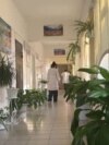 "Бир нече жолу зордуктады". Чымкентте аярлуу кыздар кыйноого кабылды 